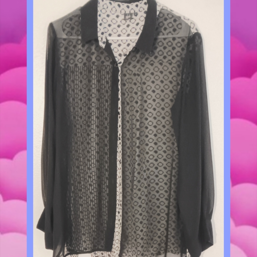 Sheer Blouse